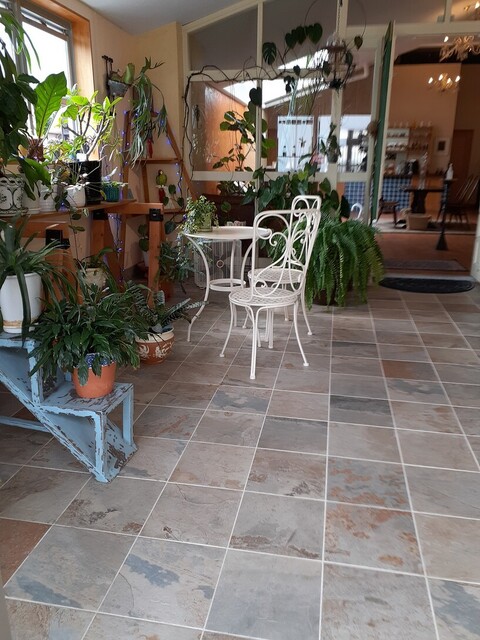hatoba cafe的實拍高清圖