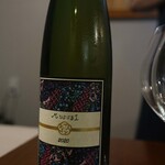 DAL 1982的实拍图