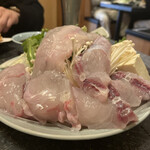 recommendations for ふぐくじら