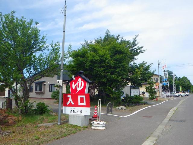 すずらん的实拍高清图