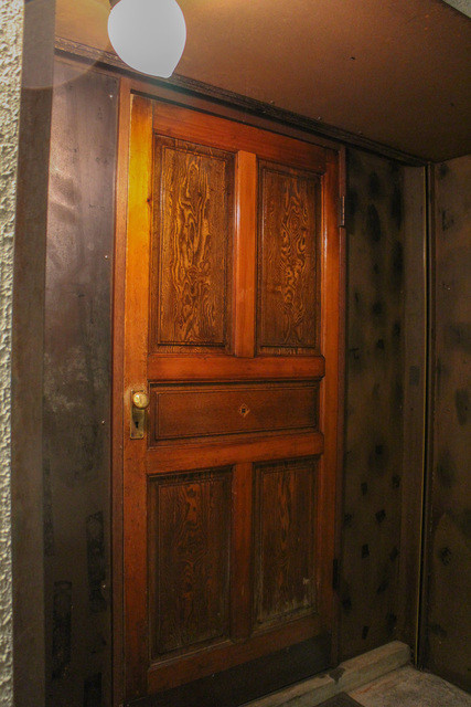 ファイ的实拍高清图