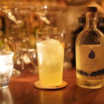 ベンフィディック的實拍圖