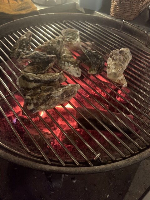 UP CAMP的实拍高清图