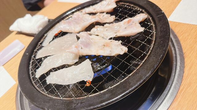 心・技・体 うるふ的实拍高清图