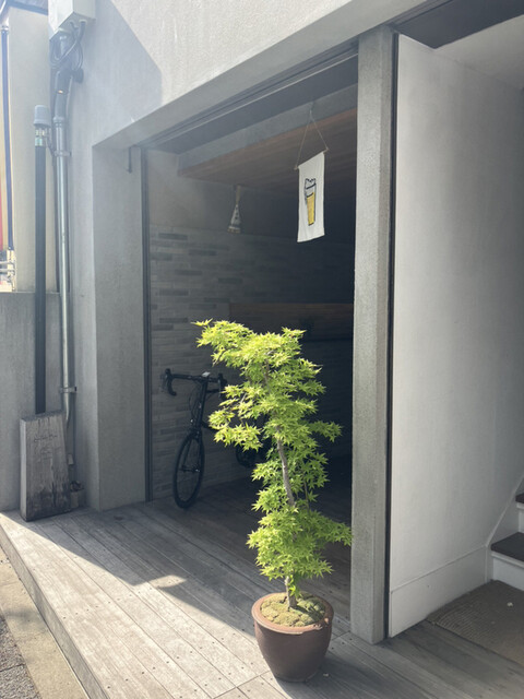 コノシマビール的实拍高清图