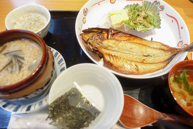 すっぽん 田一的實拍高清圖