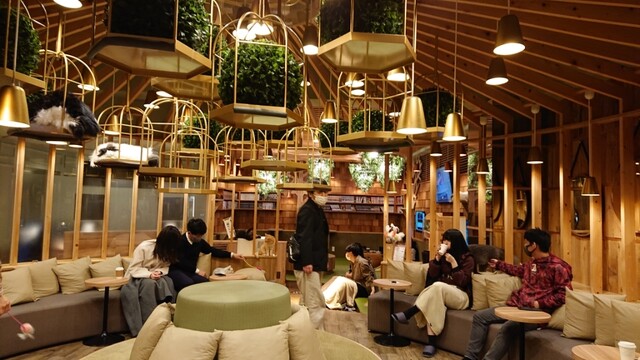 猫カフェMOCHA 秋葉原店的實拍高清圖