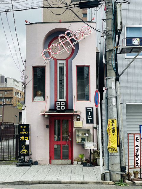 ポコ的实拍高清图
