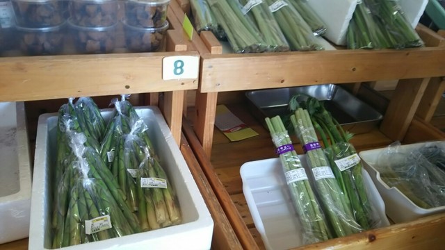 岬の市場的实拍高清图