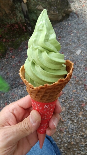 豆政　 金閣寺境内売店的實拍高清圖
