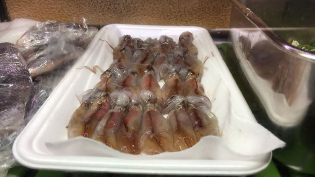 にしきの千松的實拍高清圖