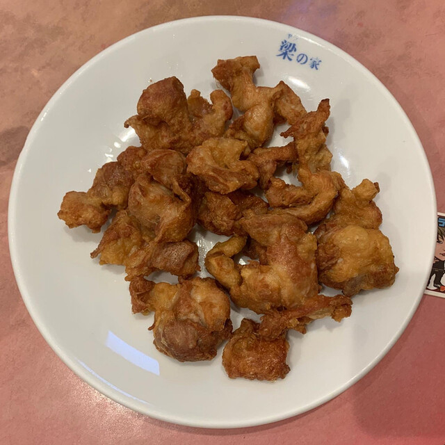 玉蘭的实拍高清图