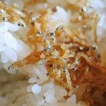 手打そば処 坂的实拍图