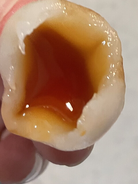 recommendations image for むか新 本店