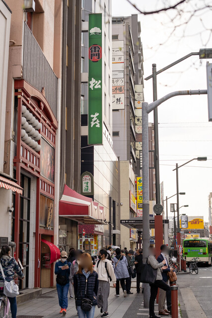 松喜的實拍高清圖