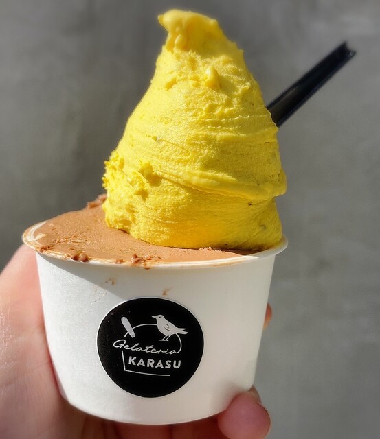 recommendations image for Gelateria KARASU