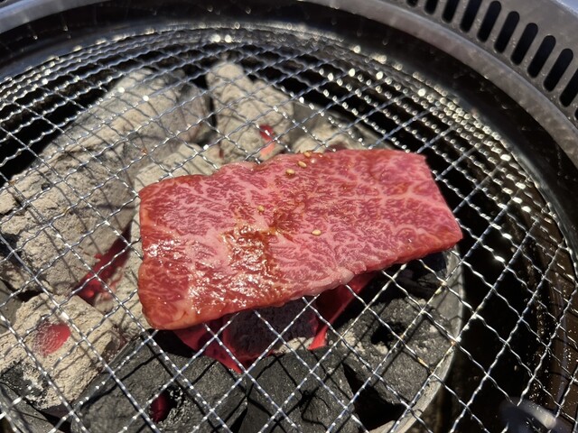 recommendations image for 炭火焼肉HONMACHI