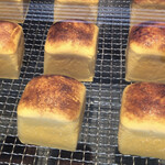 たまご専⾨ 本巣ヱ 東京本家的實拍圖