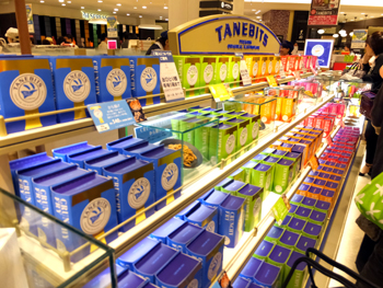 recommendations for タネビッツ