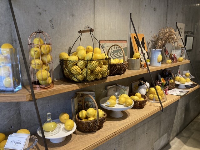 CITRON的实拍高清图