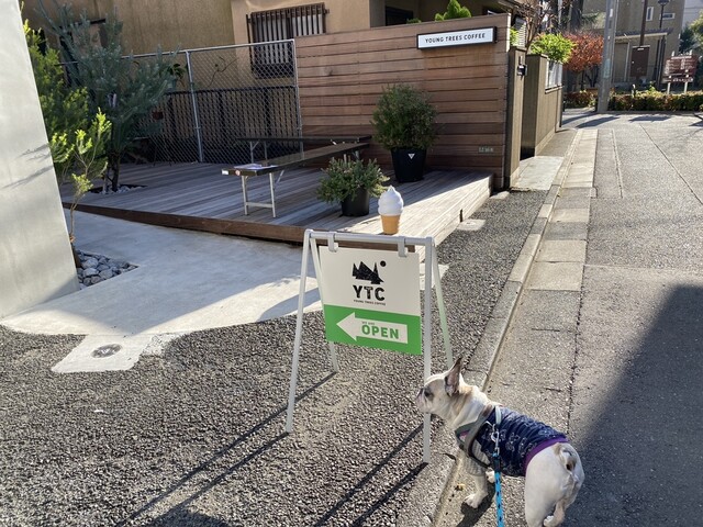 recommendations image for ヤングツリーズコーヒー