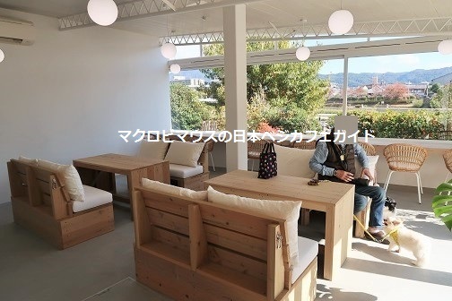 cafe planet的实拍图