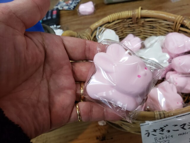 ちりめん問屋的实拍高清图