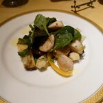recommendations for ガフーリオ