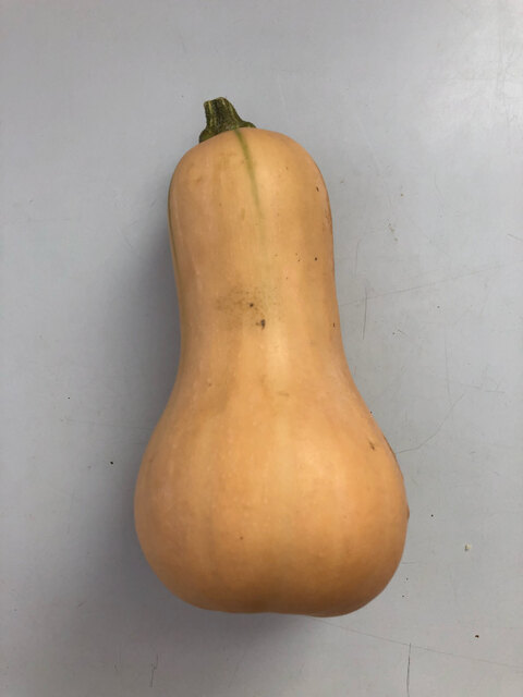 recommendations image for マルエイ 西葛西店