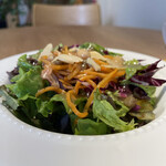 recommendations for paraiso