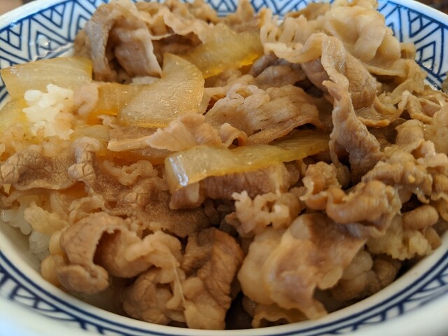 吉野家 泉北２号線堺インター店的實拍高清圖