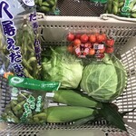 recommendations for ichica