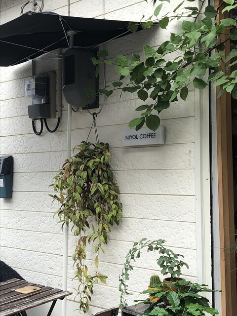 ニヨルコーヒー的實拍高清圖