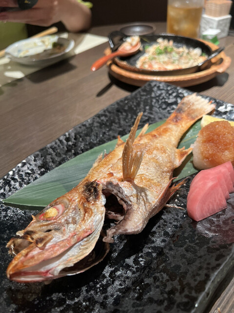 魚oh貝的实拍高清图