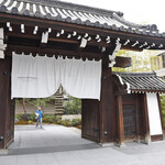 THE GARDEN BAR的实拍图
