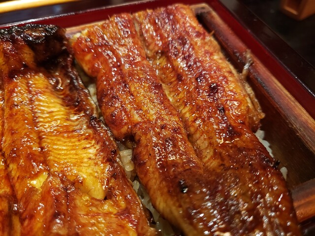 recommendations image for にょろ助 赤坂