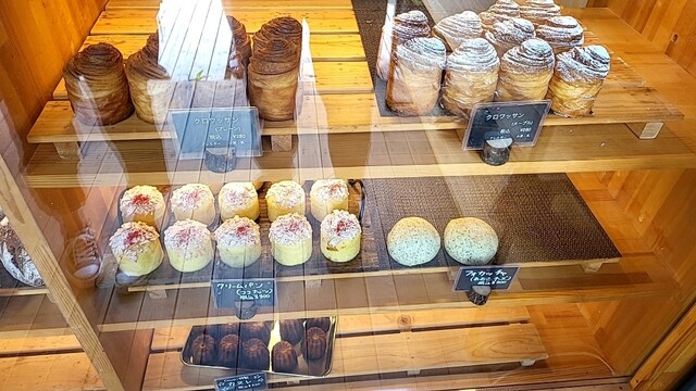 アマン的实拍高清图