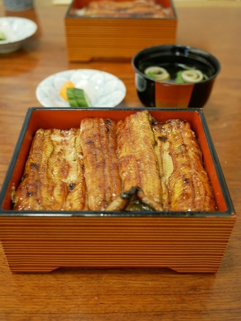 魚政的實拍高清圖