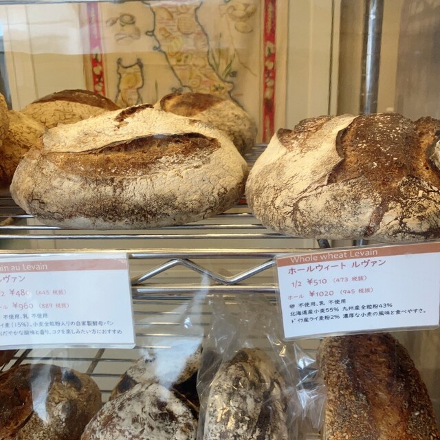 Dough的實拍高清圖