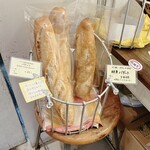 recommendations for スギノキ