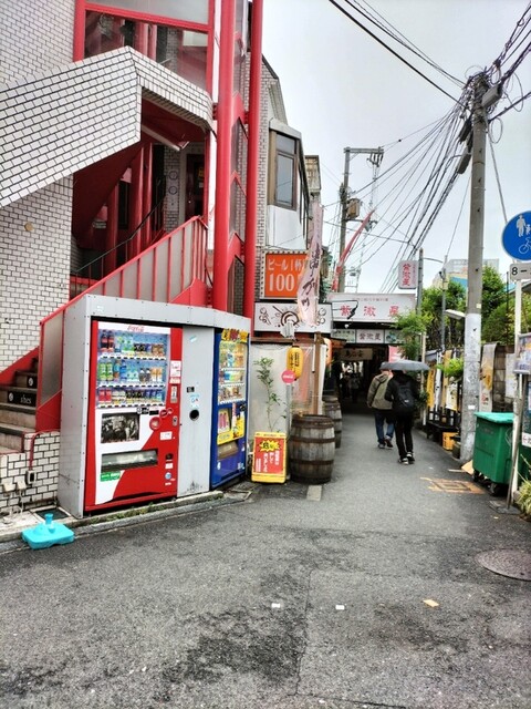鶏魂鳥福的实拍高清图