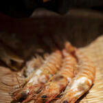 錦 鮨しん 本店的实拍图