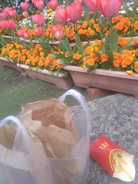 マクドナルド 枚方パーク店的實拍高清圖