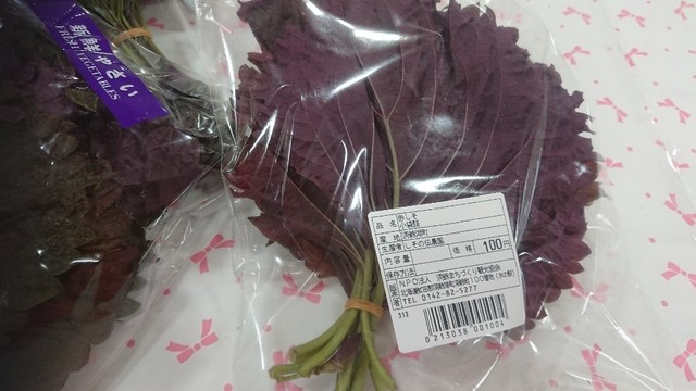 とうや水の駅的實拍高清圖
