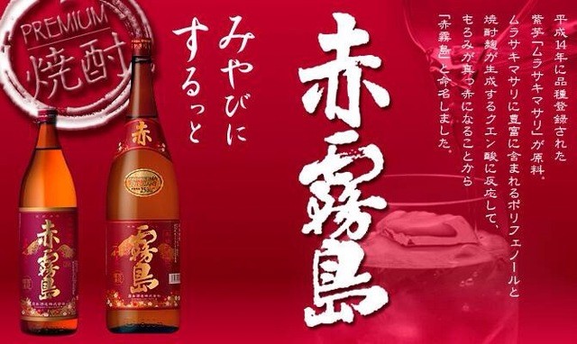 ねこ丸的实拍高清图