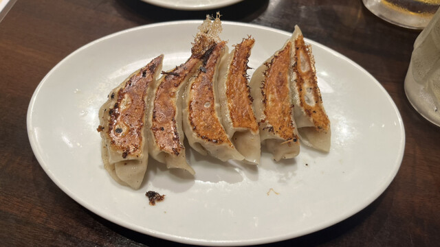 きんちゃん的实拍高清图