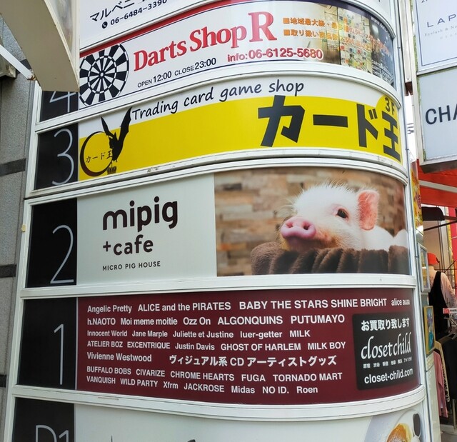 マイピッグカフェ 大阪店的實拍高清圖