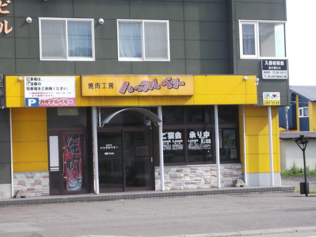ハックルベリー的实拍高清图