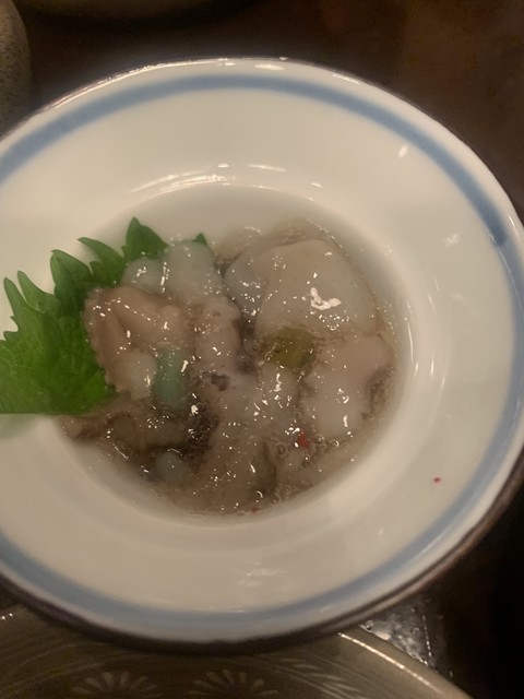 月夜のたぬき的实拍高清图