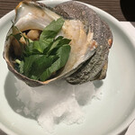 魚oh貝的实拍图